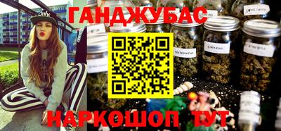 шишки Славгород