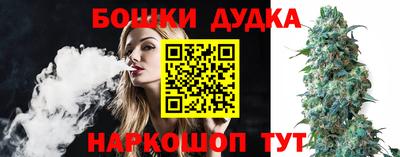 шишки Славгород