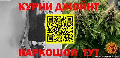 шишки Славгород