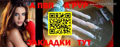 шишки Славгород