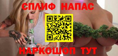 шишки Славгород