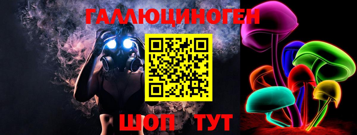 Псилоцибиновые грибы Psilocybe  Вход с VPN  Волжский 